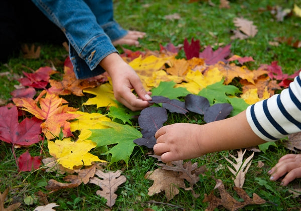 The Unplugged Family Activity Book